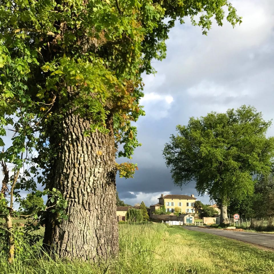 Spring, Day, Neighbourhood, Natural landscape