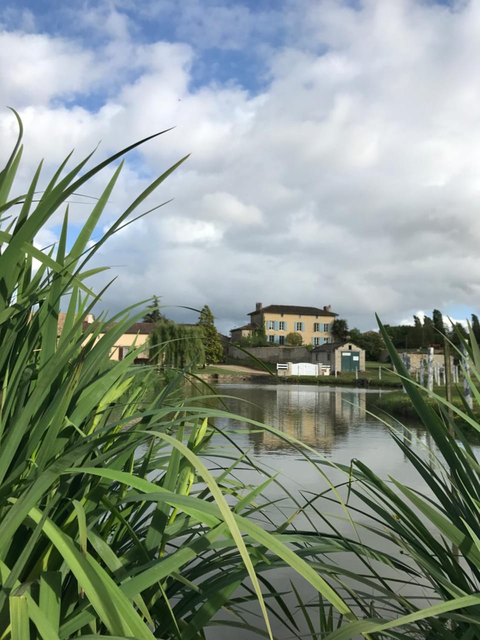 Natural landscape, Lake view