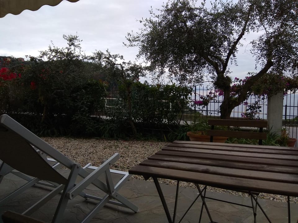 Patio, Garden, Garden view