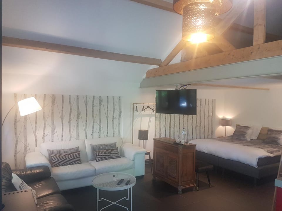 Bed, TV and multimedia, Photo of the whole room, Seating area