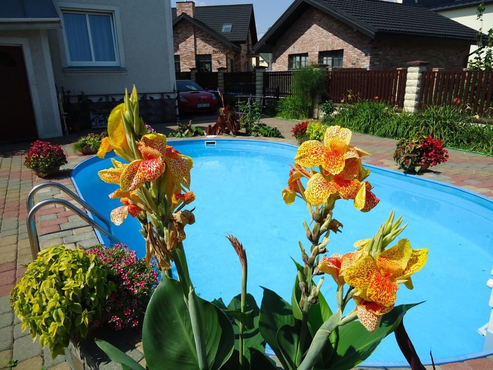 Swimming pool, Swimming pool