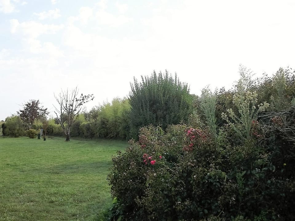 Maison individ. au calme, 1,5 km plage, grd terrain arboré, proche commerces, 1 ch., TV câble, animaux ok. - FR-1-22-238 House in La Tranche-sur-Mer