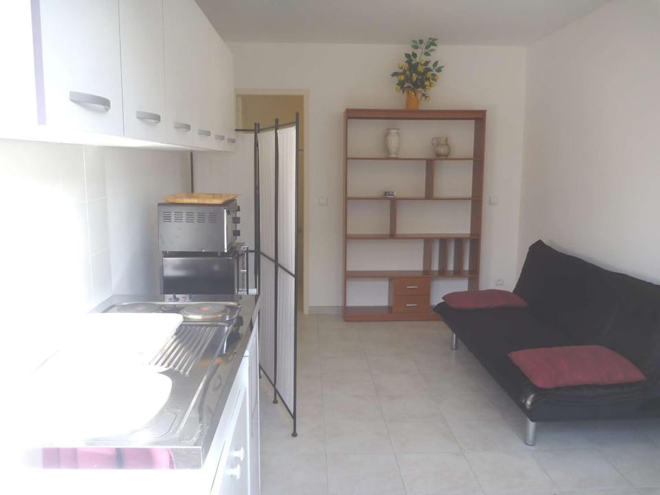Studio Charmant à 2 Pas de la Plage avec Terrasse et Parking - FR-1-387-124 Apartment in Marseillan