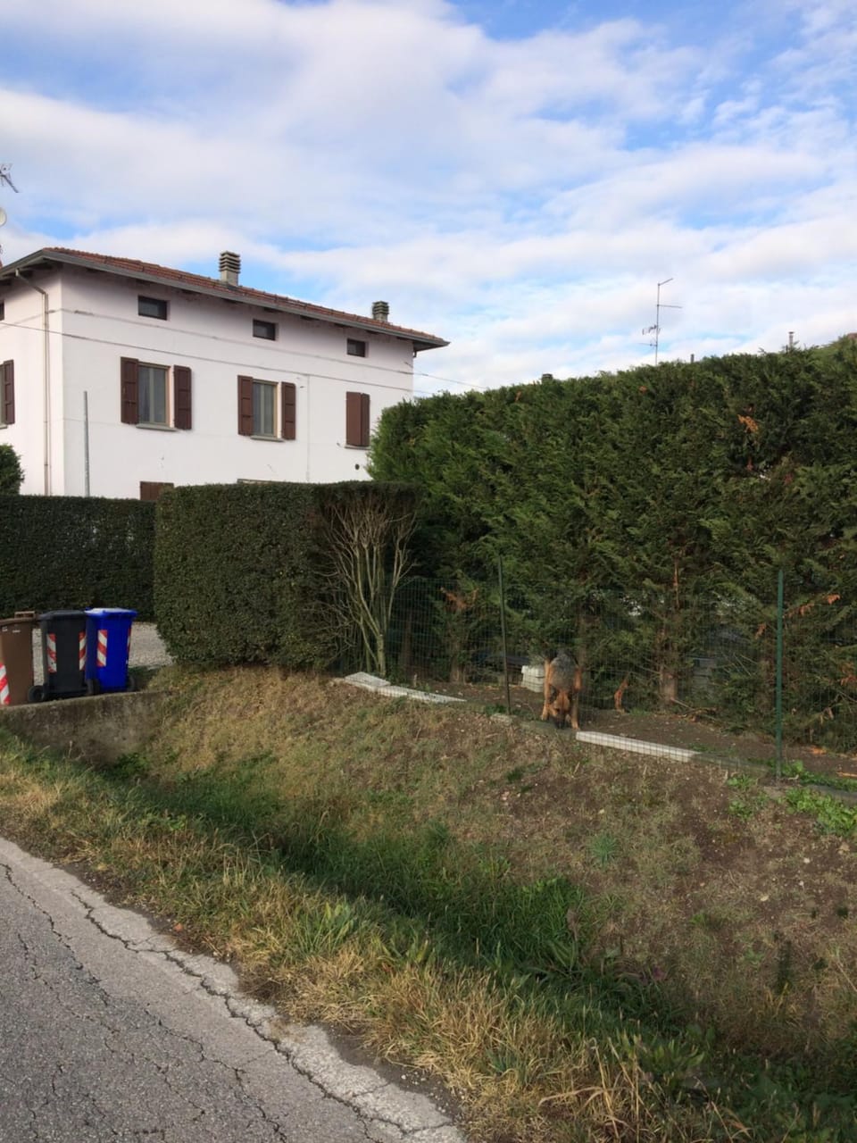 Property building