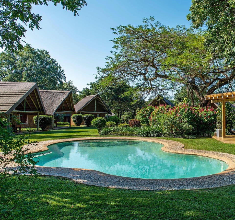 Pool view, Swimming pool