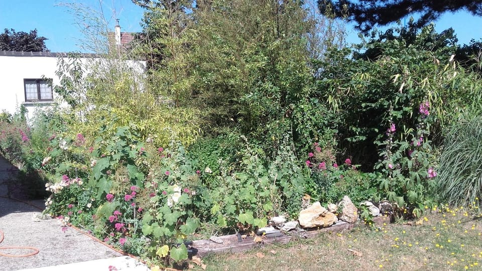 La maisonnette du Jardin Fleuri House in Normandy