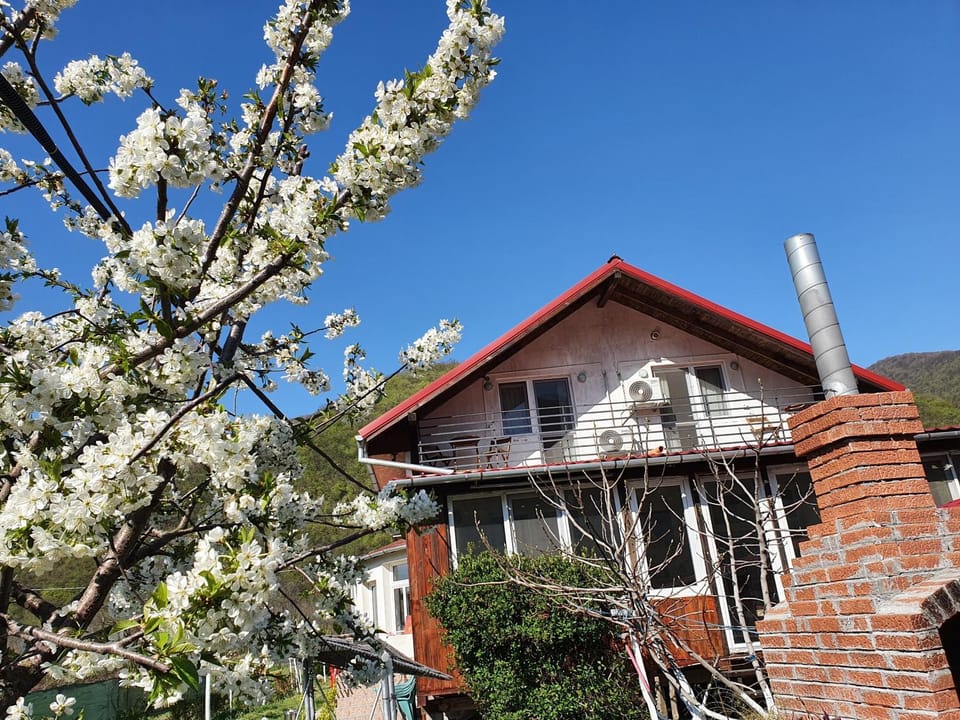 Vila di Pau Vacation rental in Serbia