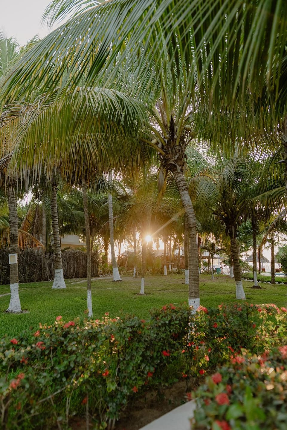 Natural landscape, Garden, Garden view