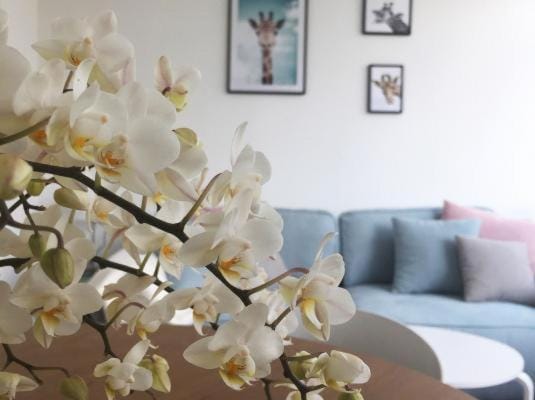 Pfötchenurlaub im Harz- Schöne Ferienwohnung für 2-4 Personen und Hund Apartment in Lower Saxony, Germany