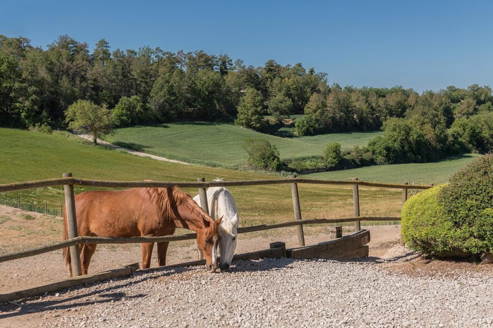Natural landscape, Animals
