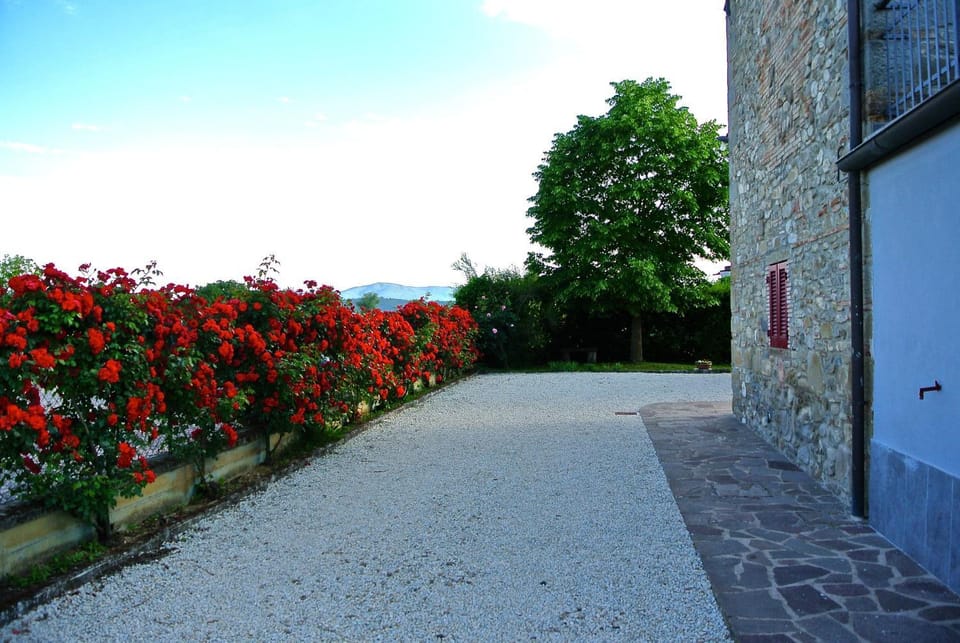 Facade/entrance, Garden