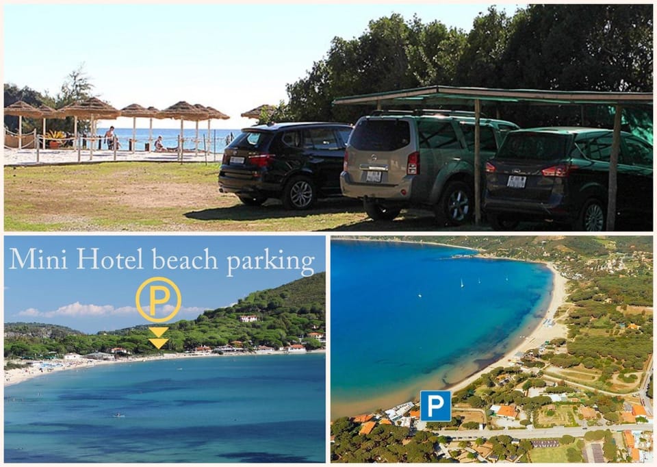 Beach, Area and facilities