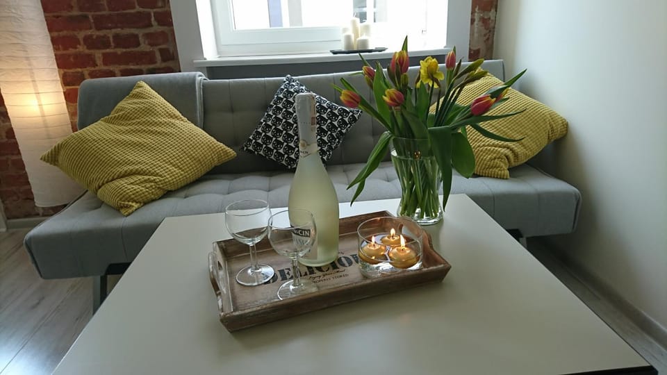 Klimatyczny apartament w magicznym miejscu Apartment in Masovian Voivodeship