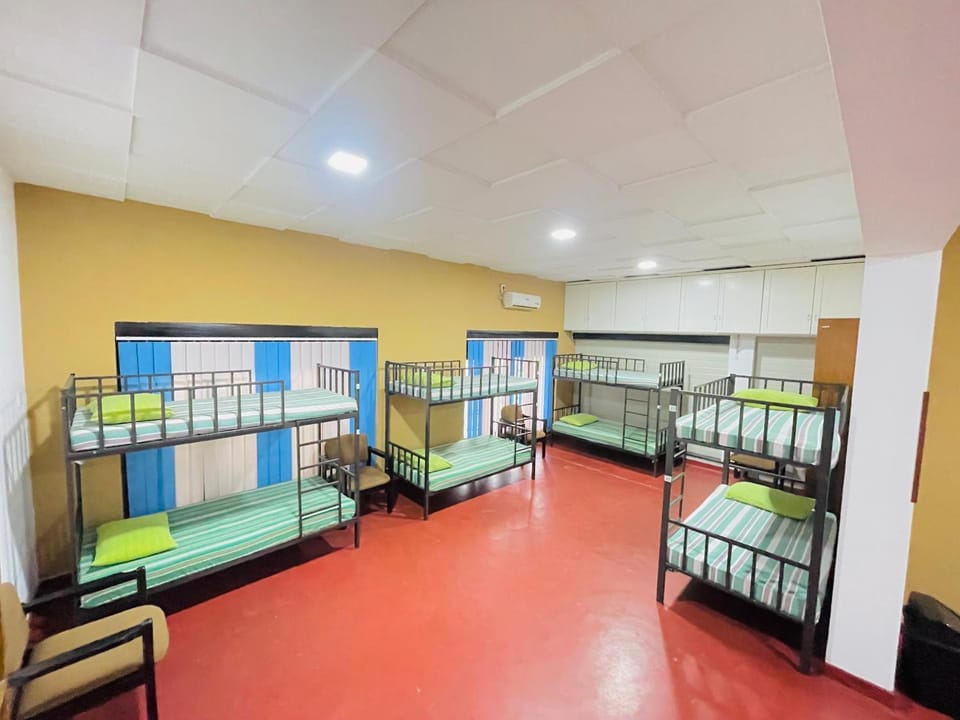 Bed, Photo of the whole room, bunk bed