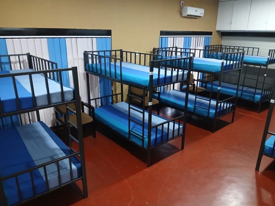 Bed, Photo of the whole room, bunk bed
