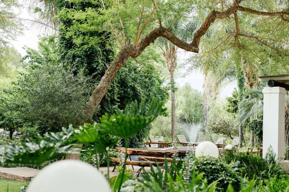 Natural landscape, Garden, Garden view