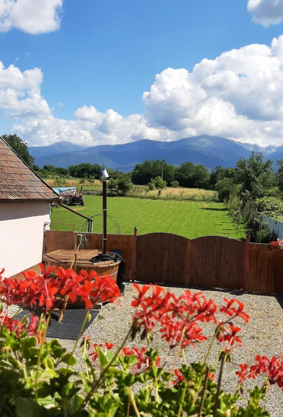 Garden view