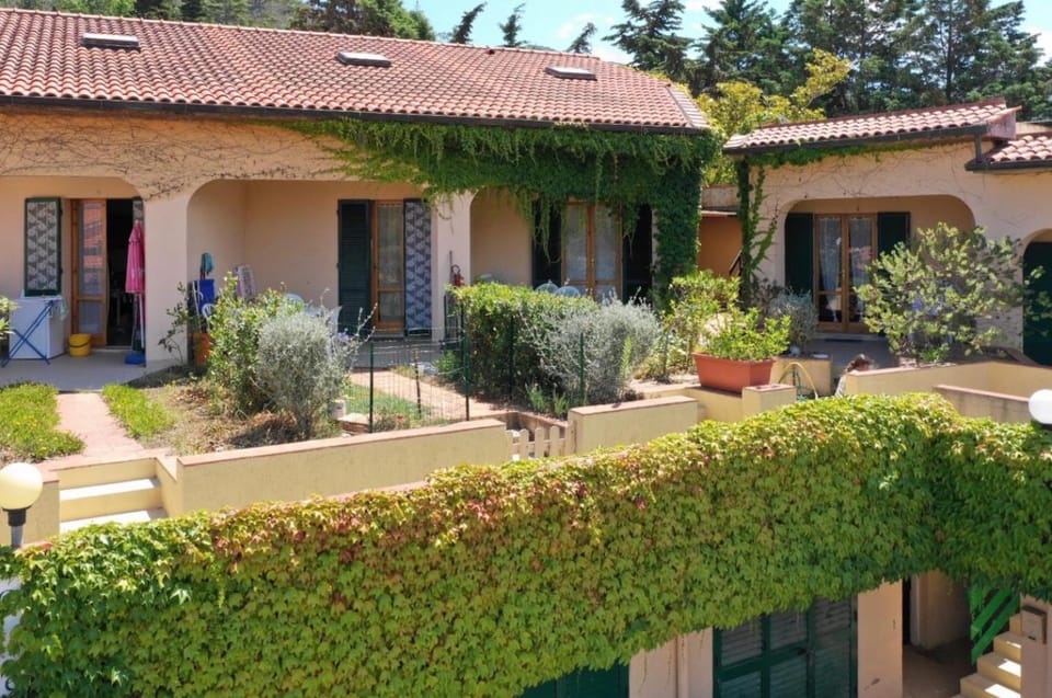 Patio, Facade/entrance, Inner courtyard view