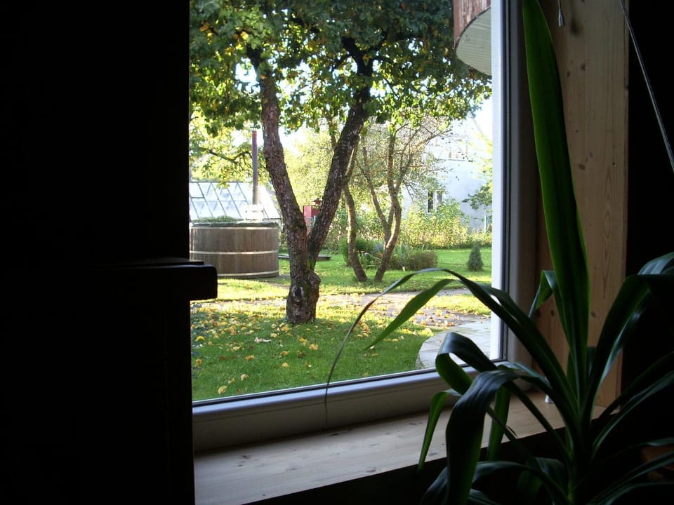 Garden view