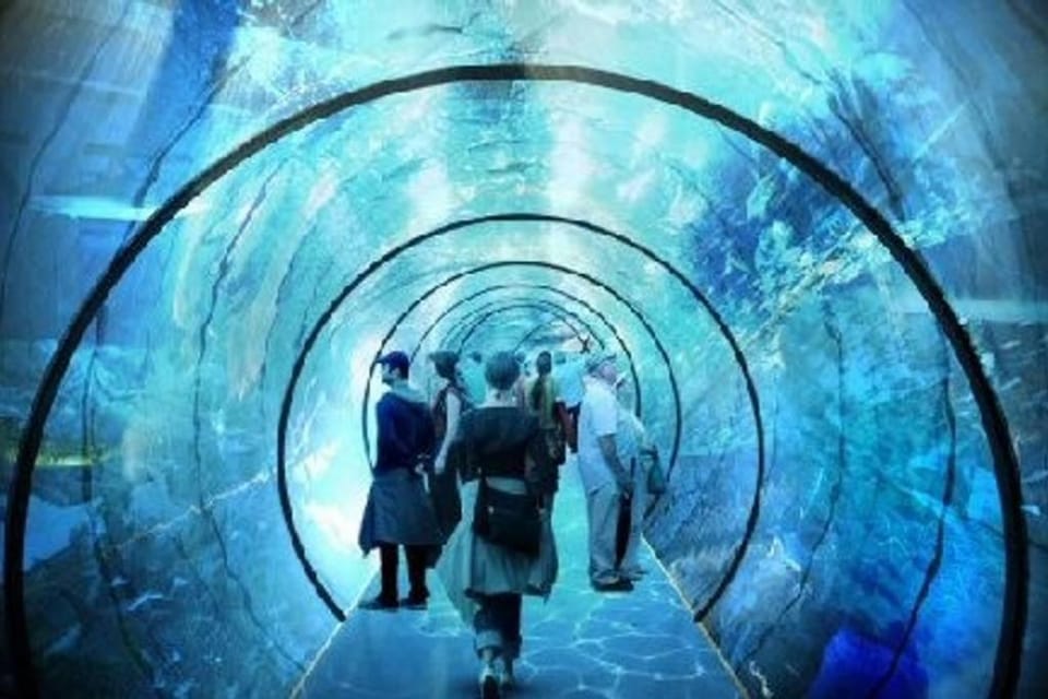 Le Vivier appartement avec parking Apartment in Hauts-de-France