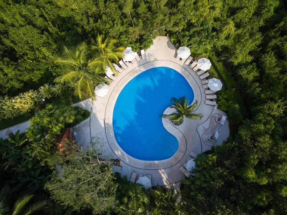 Bird's eye view, Other, Pool view, Swimming pool