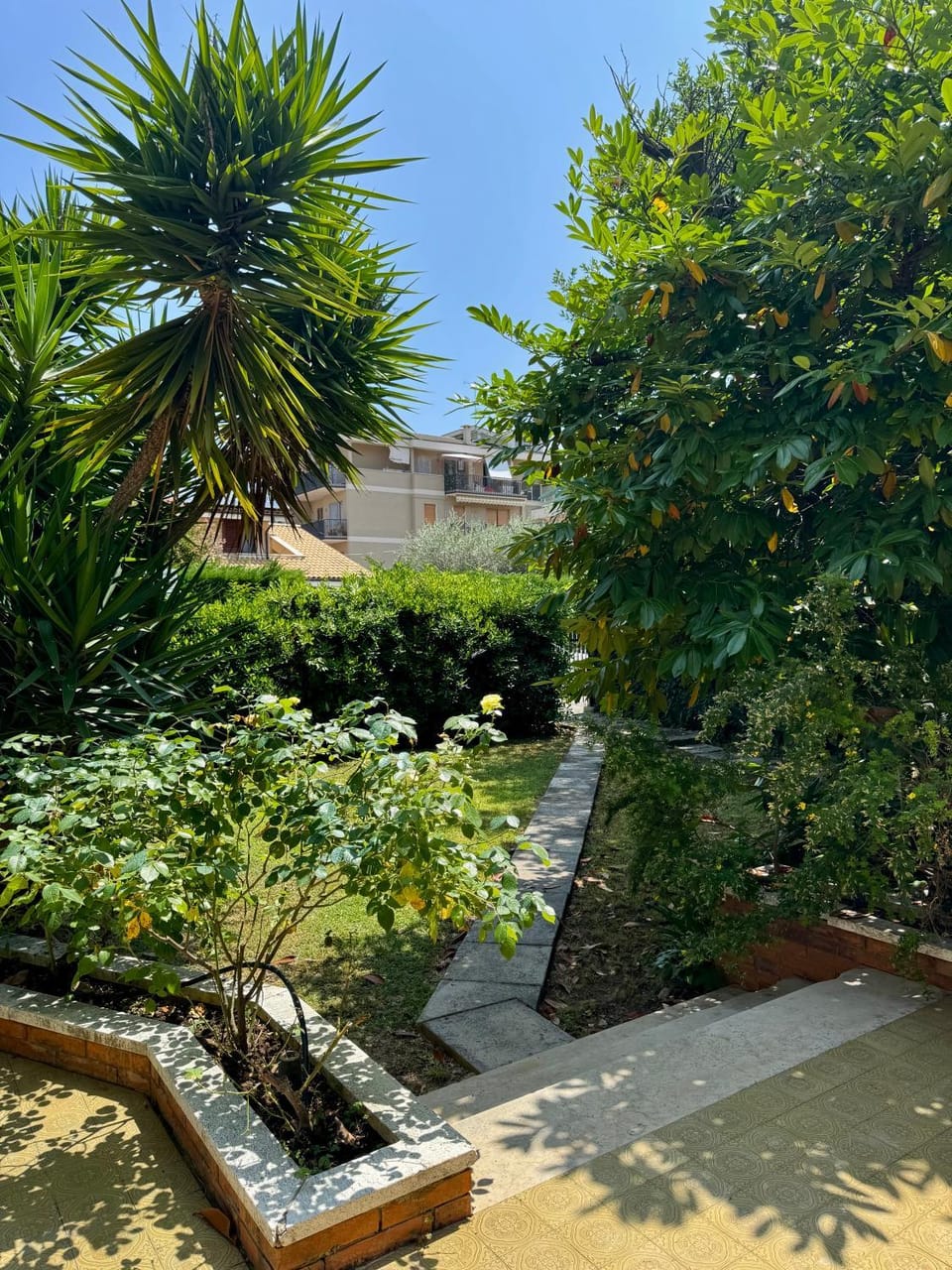 Garden