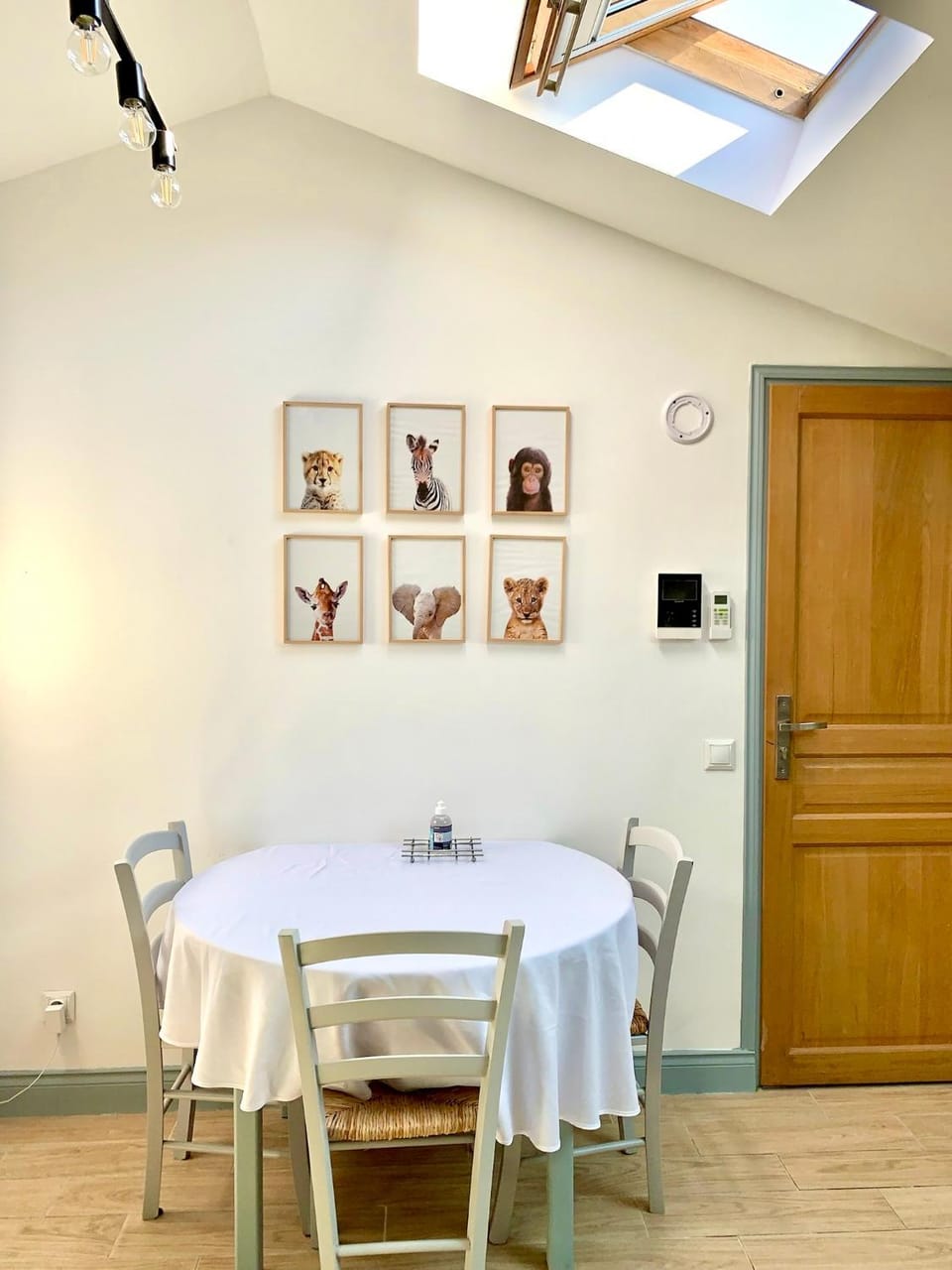 Safari apartment in heart of Cannes and beaches Apartment in Cannes