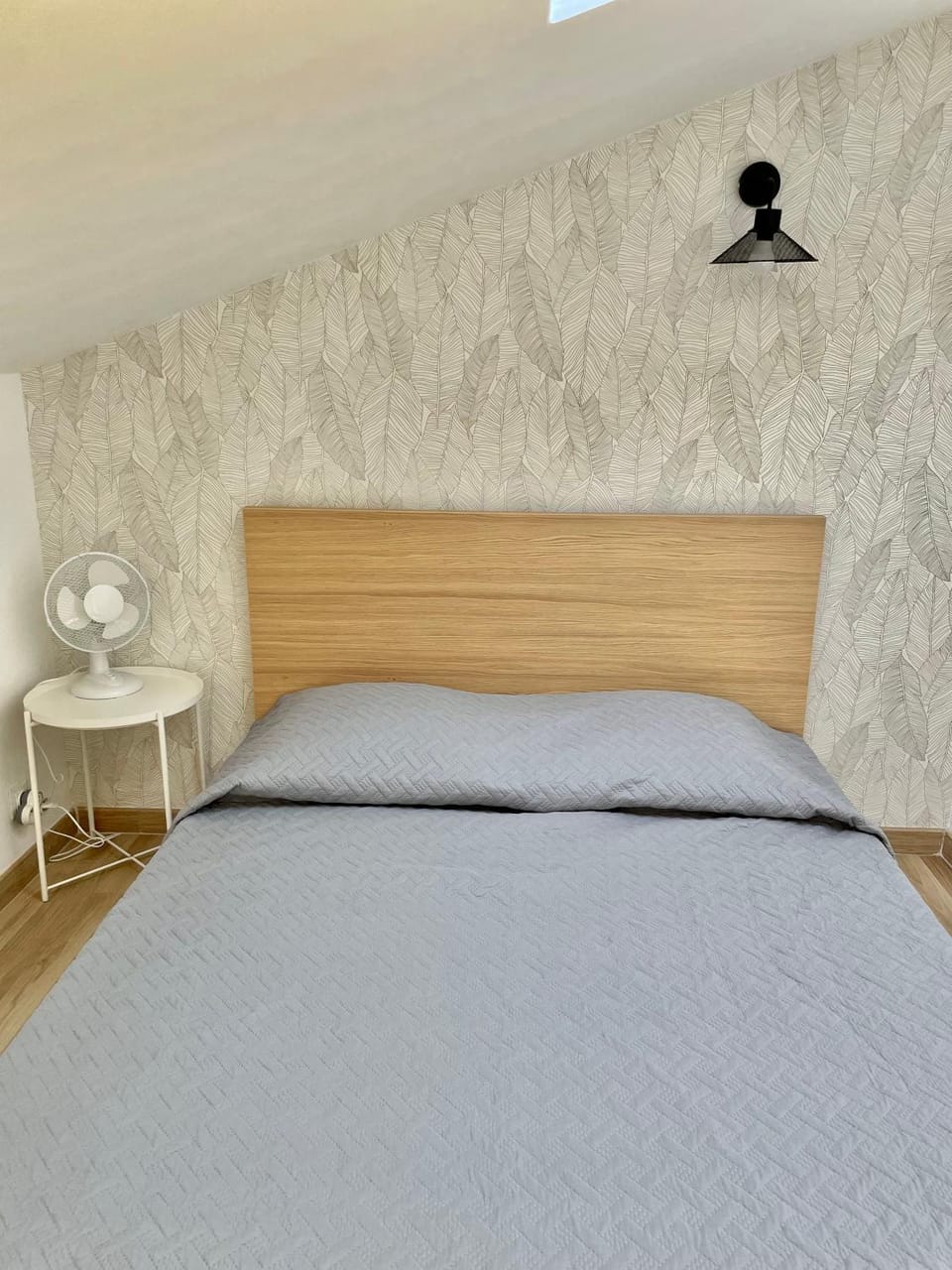 Safari apartment in heart of Cannes and beaches Apartment in Cannes