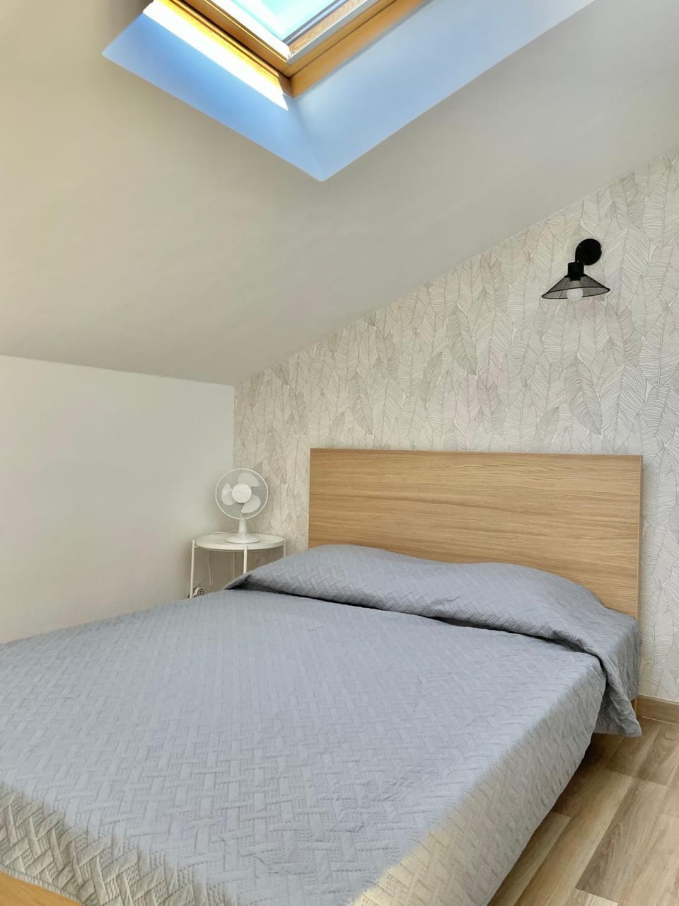 Safari apartment in heart of Cannes and beaches Apartment in Cannes