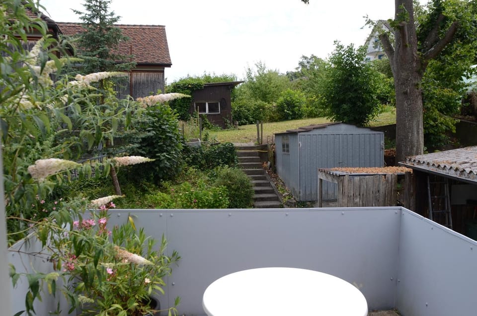 Garden view