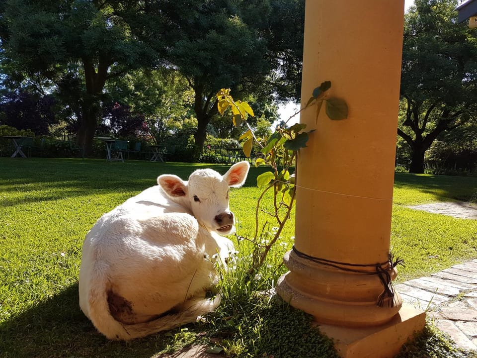 AL RU Farm Bed and Breakfast in South Australia