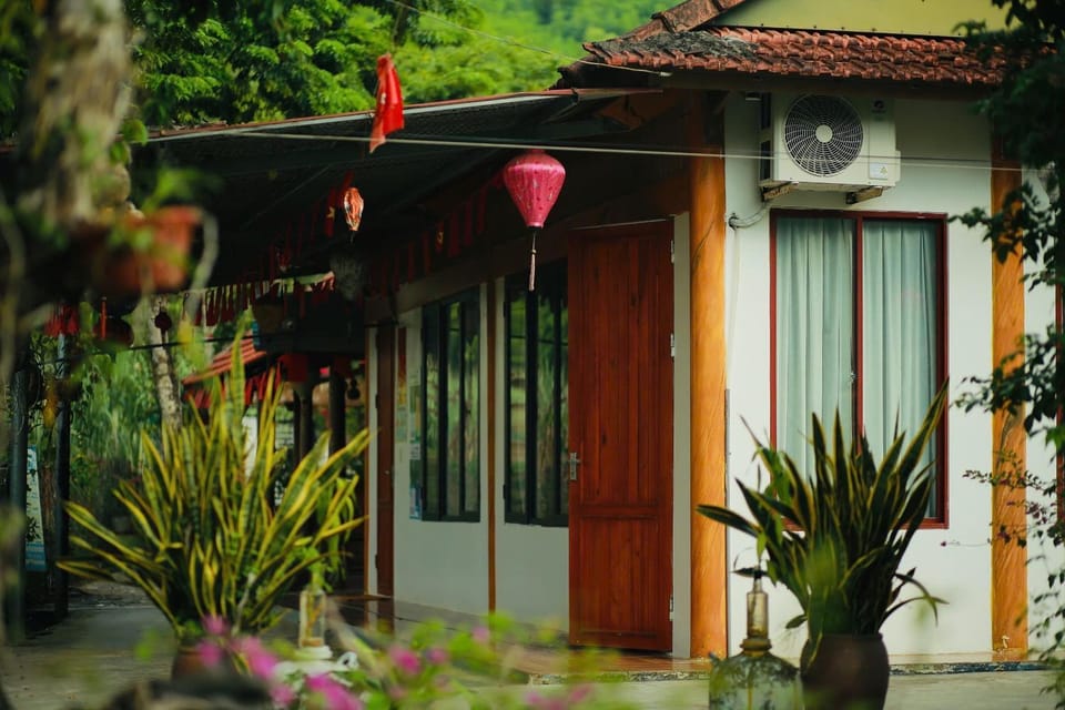 Phong Nha Rice Field Homestay Nature lodge in Vietnam