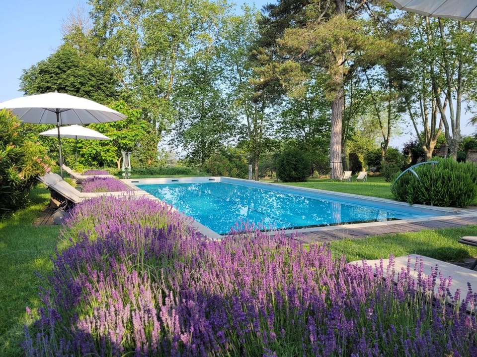 Garden, Swimming pool