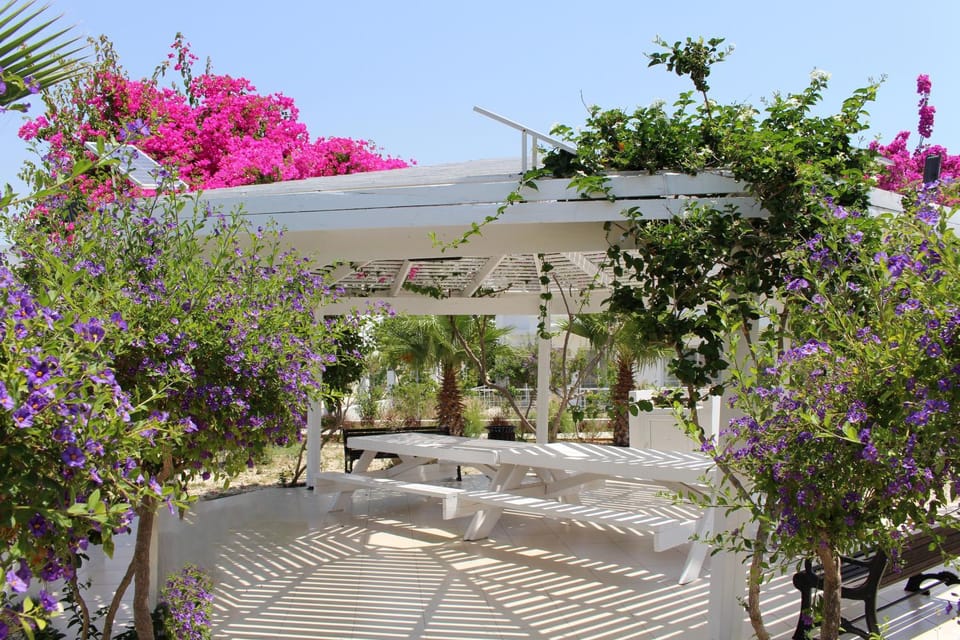 BBQ facilities