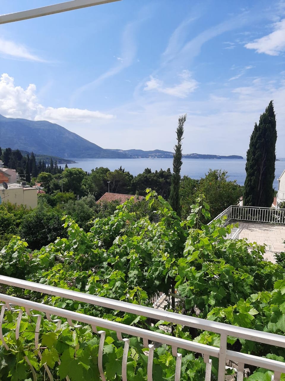 Villa Adria Bed and Breakfast in Mlini