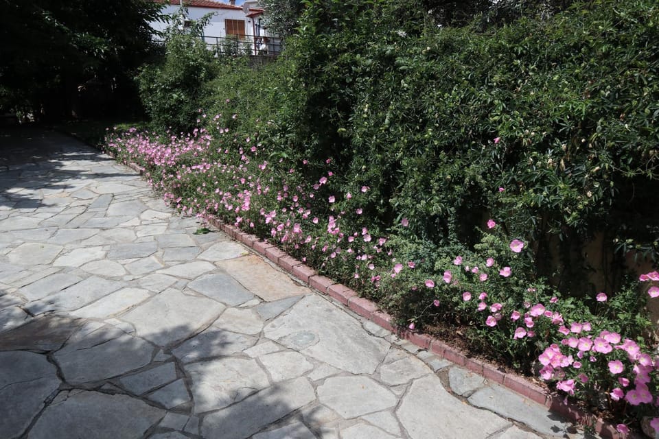 Patio, Garden