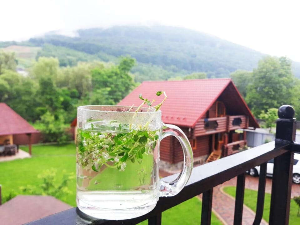 Spring, Day, Natural landscape, View (from property/room), Balcony/Terrace, Mountain view