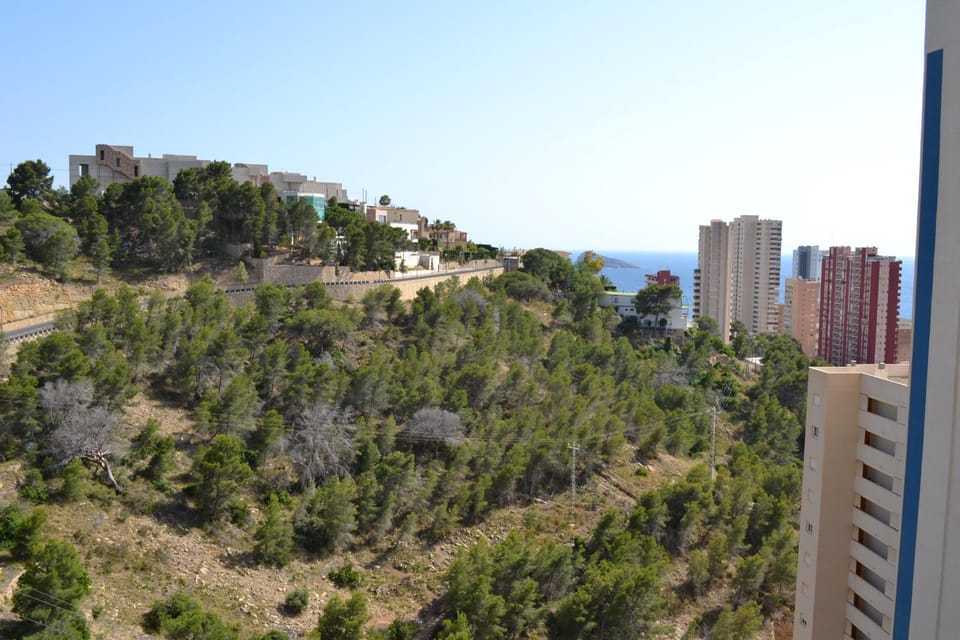 Mountain view, Street view