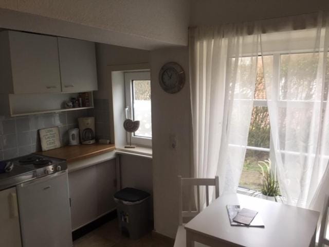 Photo of the whole room, Decorative detail, Pets