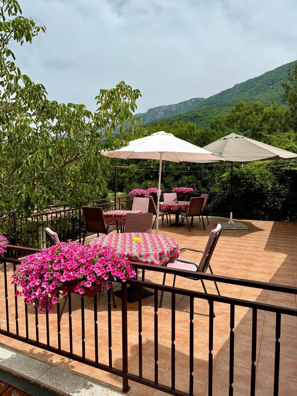 Guest House Renata Bed and Breakfast in Istria County
