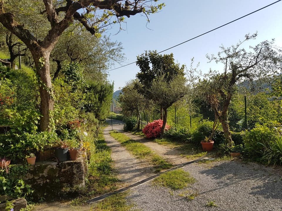 Garden, Garden view