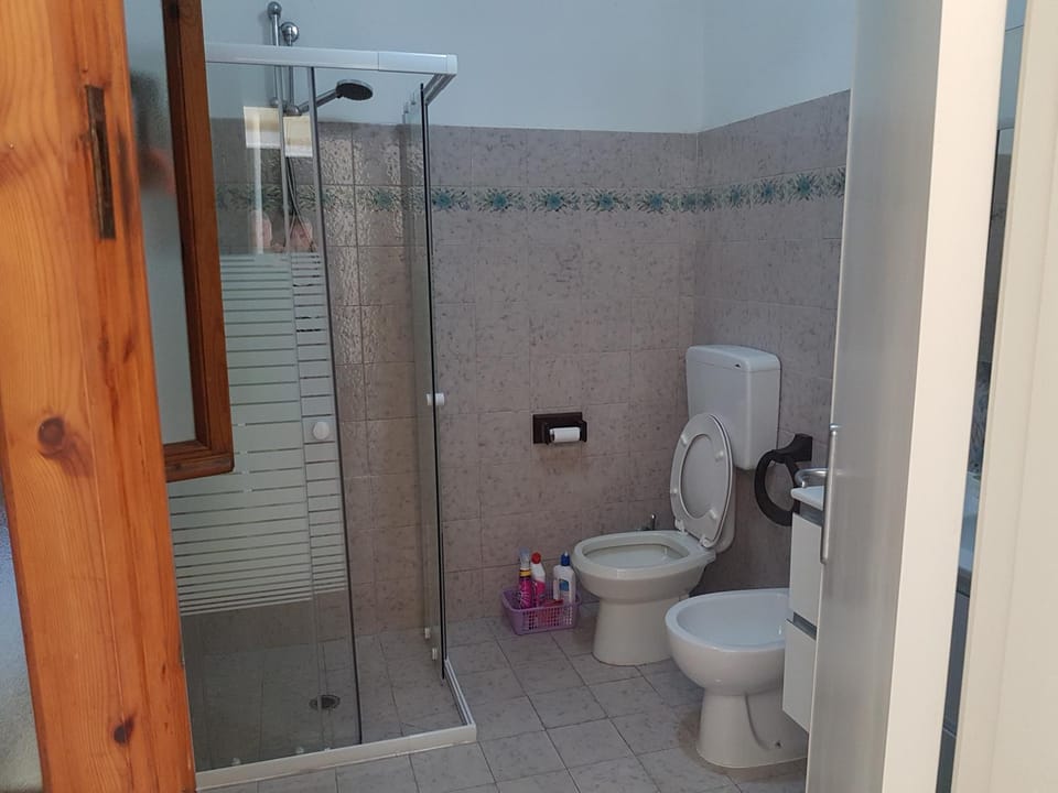 Shower, Toilet, Bathroom, bidet