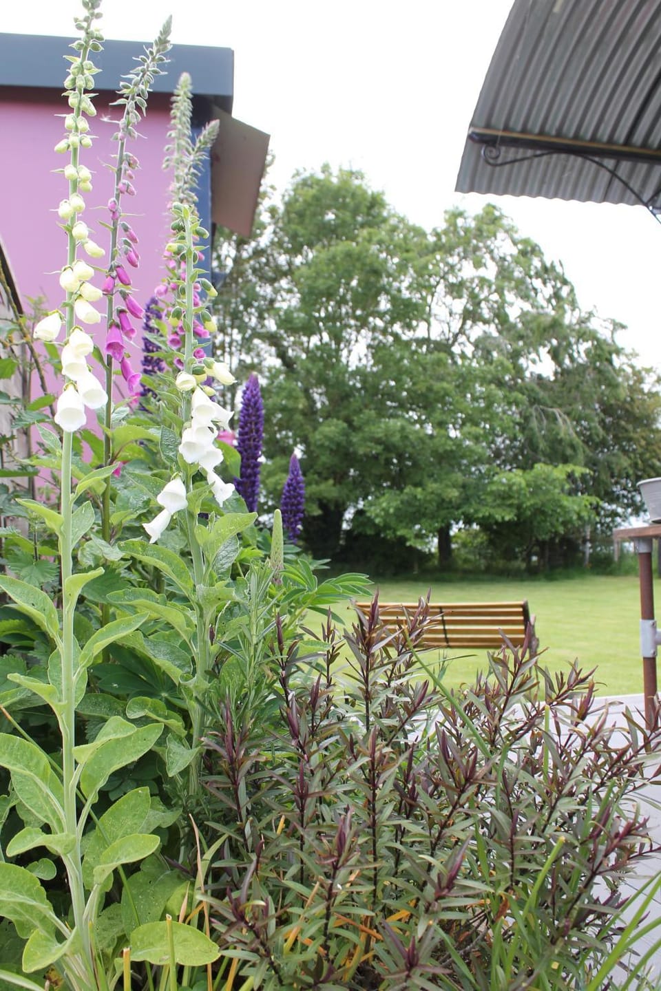 Off the Rails Farm Stay in Wales