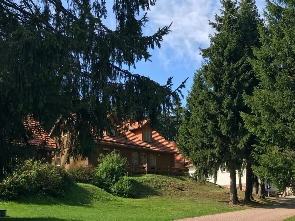 Property building, Spring, Day, Natural landscape, Garden, Garden view