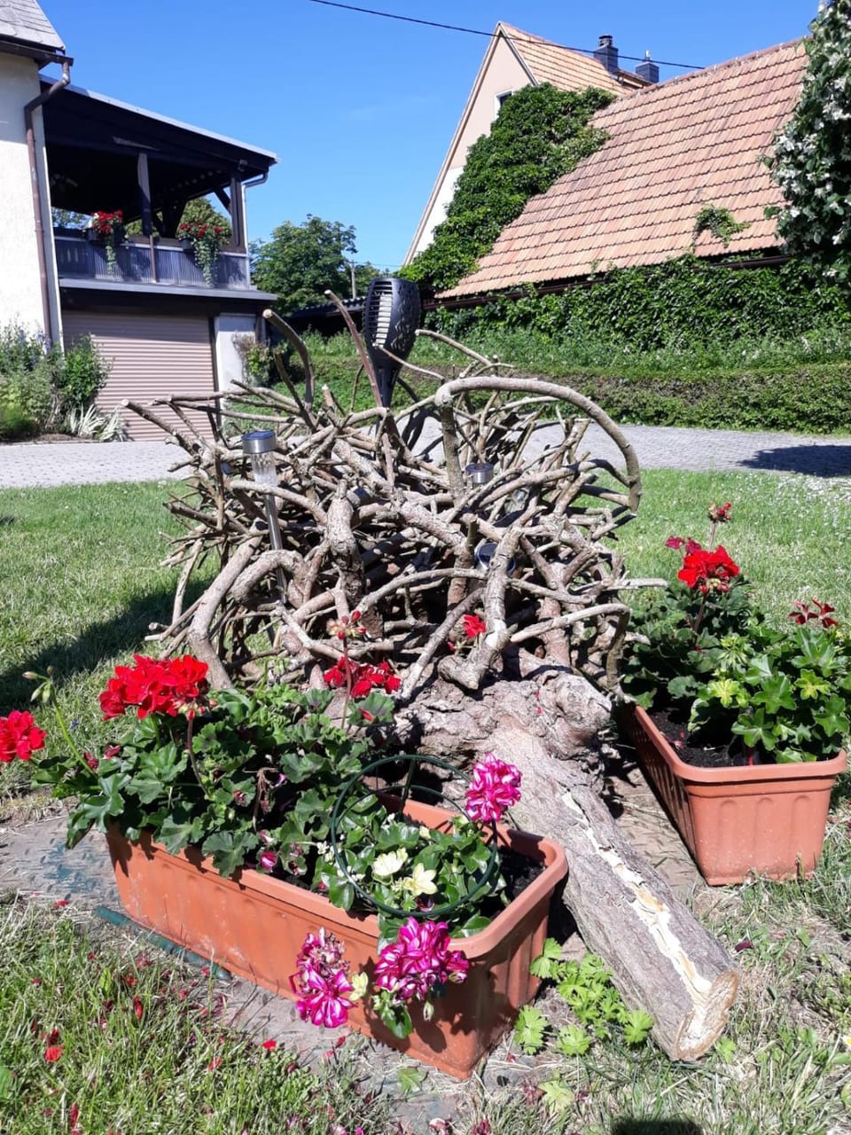 Fewo Hoyer Apartment in Sächsische Schweiz-Osterzgebirge