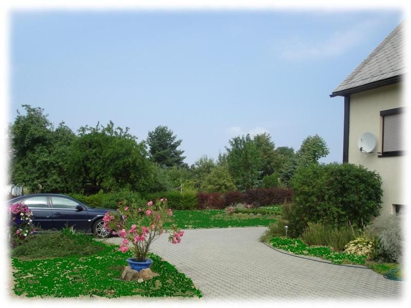 Garden view