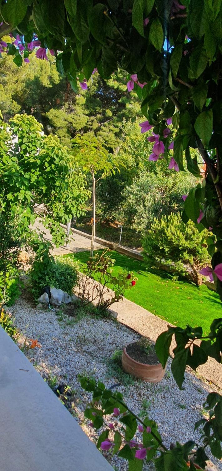 Apartmani Iva Apartment in Šibenik-Knin County, Croatia