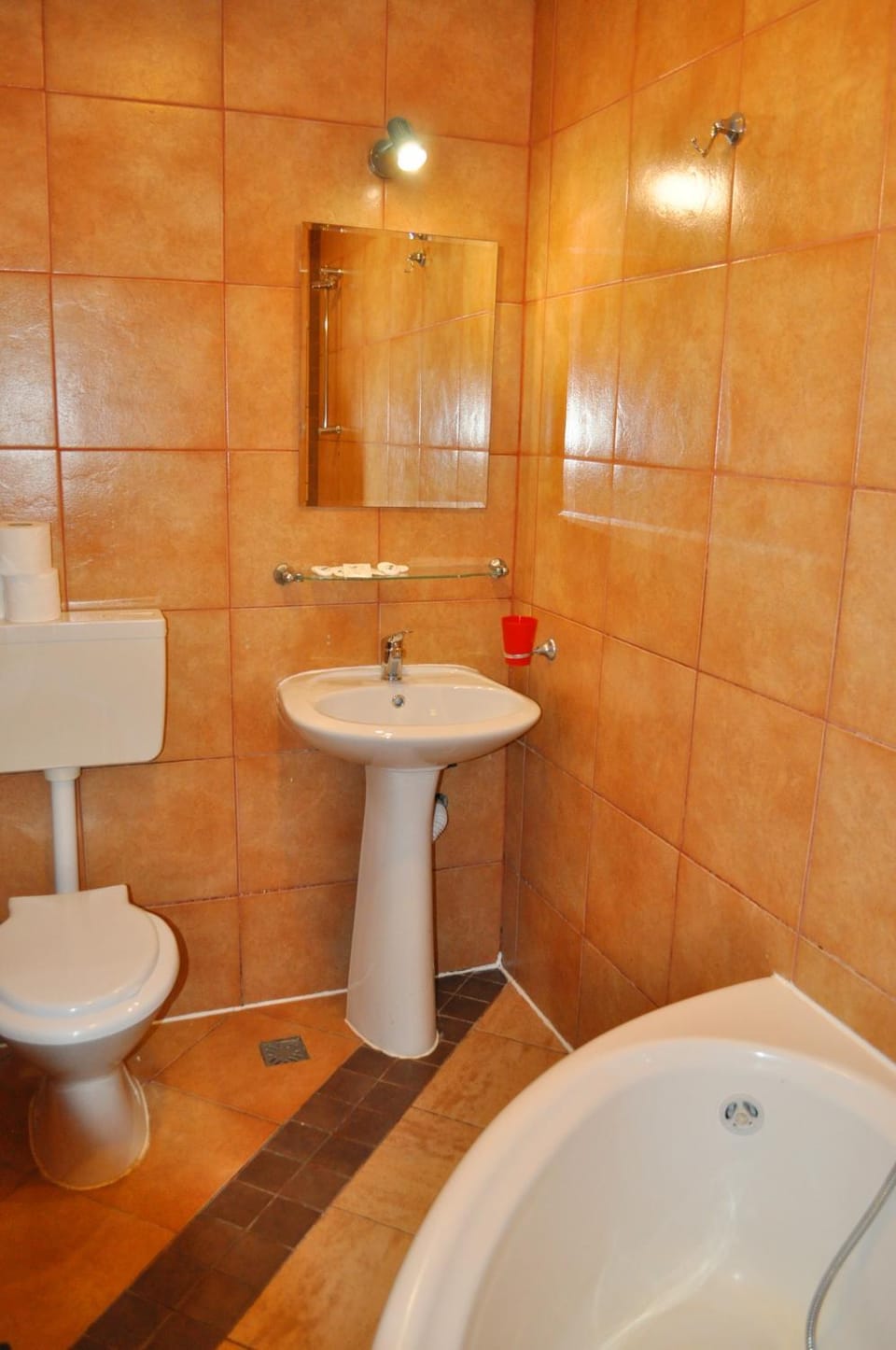Pension Flamingo Bed and Breakfast in Brasov
