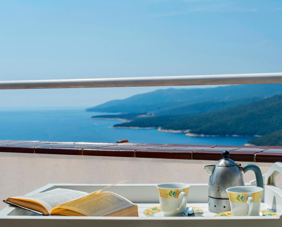 Lily Apartment Apartment in Istria County