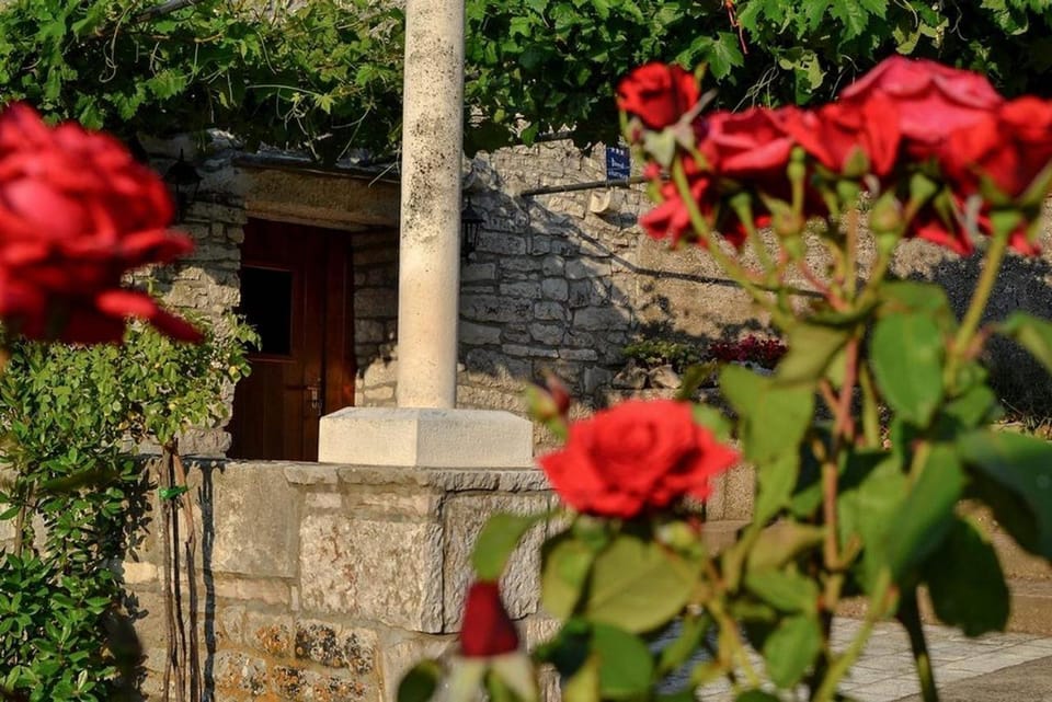 Mario (RADE) Apartment in Dubrovnik-Neretva County